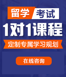 在线观看网站艹逼留学考试一对一精品课